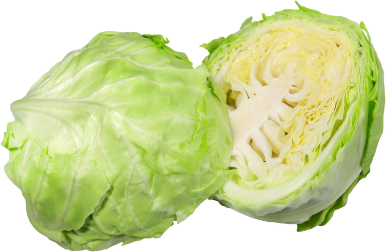 Cabbage - Isolated Image